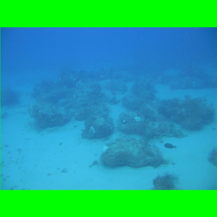 Dive WP Wrecks 25-Oct-09_415.JPG